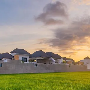  Villa Hedonia Luxury
